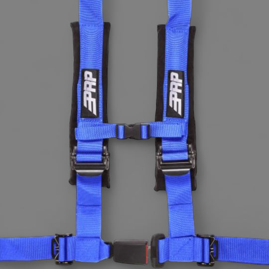 PRP 4.2 Harness